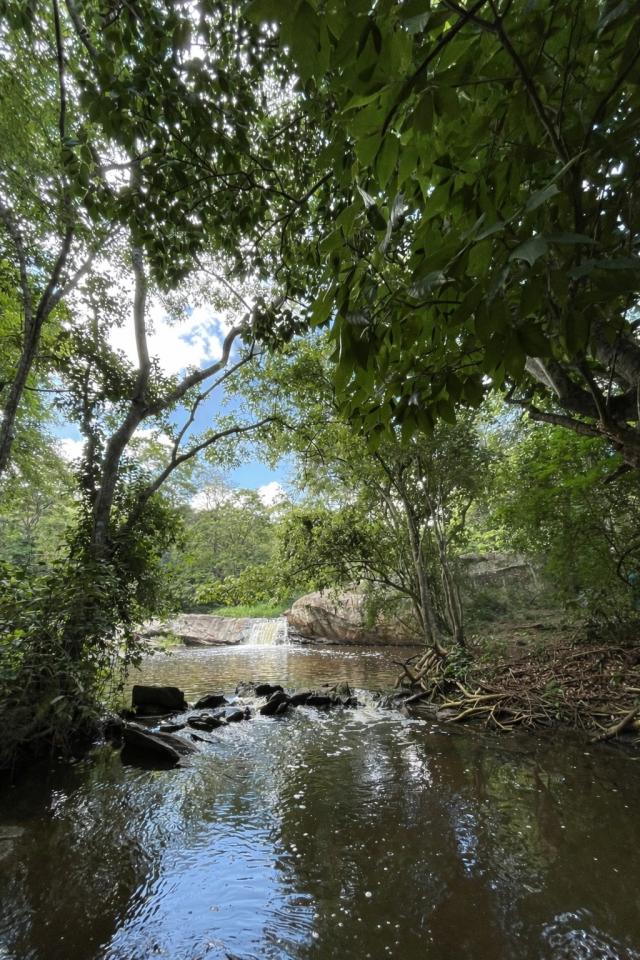 CACHOEIRA DO CARVALHO